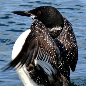 Meet your Posher, Cathy